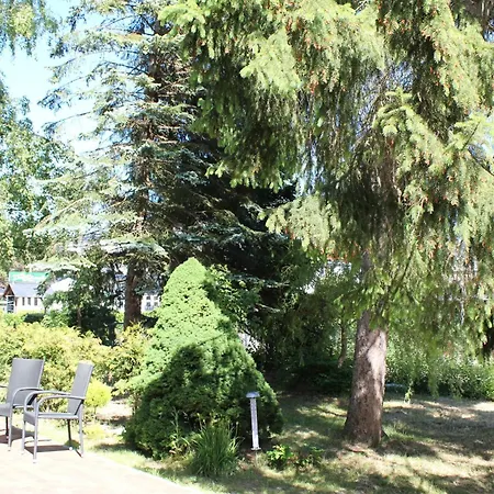 公寓 Strandvilla Sophie App 1 Neuhaus (Mecklenburg-Vorpommern)